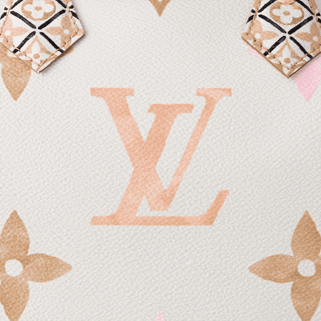 Louis Vuitton Speedy Bandoulière 25 M22987