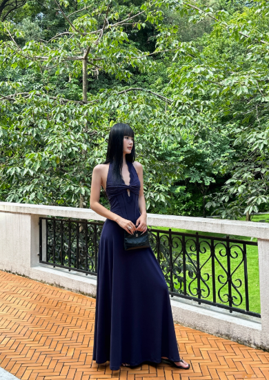 French A Line Lace V-neck Halter Backless Pleated Seaside Holiday Female Long Dress Date Dress D1853