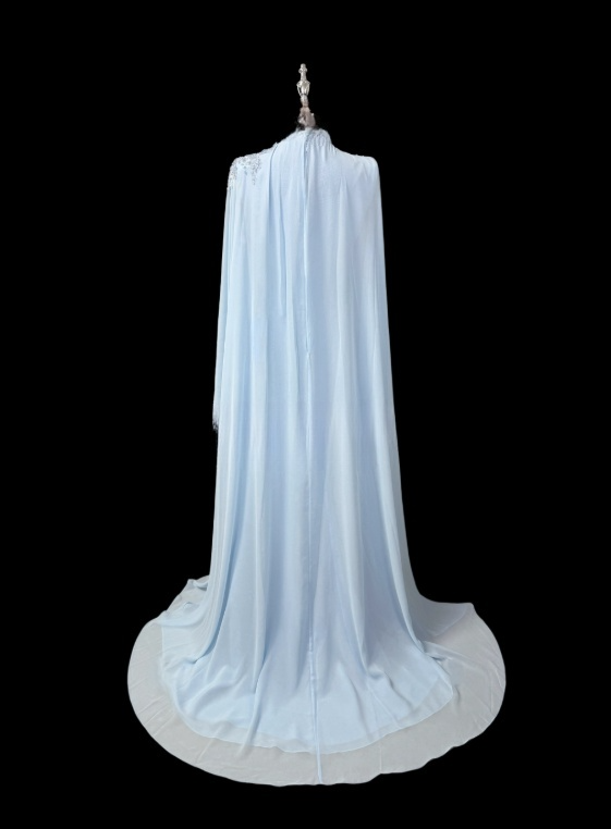 Beauty Mother of Bride Dress A Line Long Sleeve Pleated Mother of Bride Dress D3151