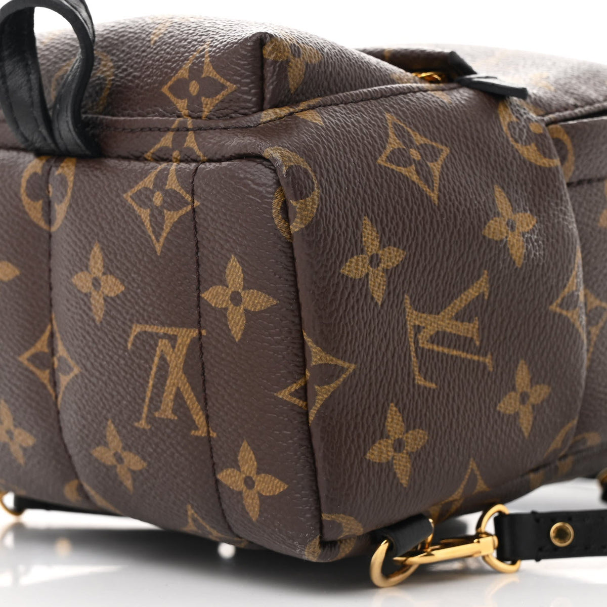 Monogram Palm Springs Backpack Mini