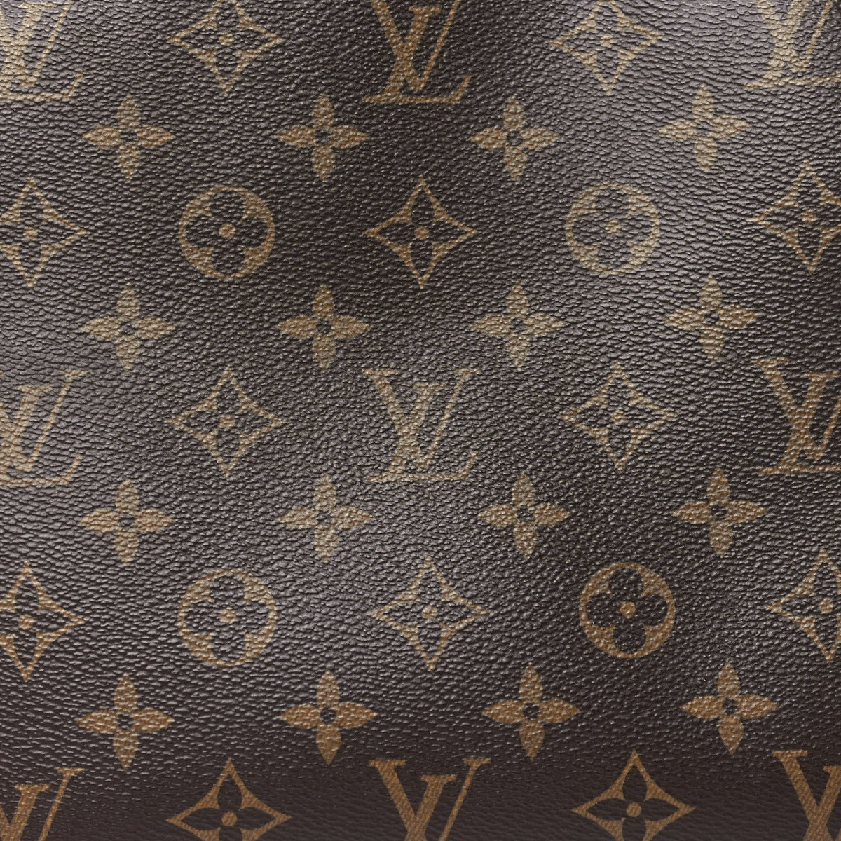 Monogram Petit Palais