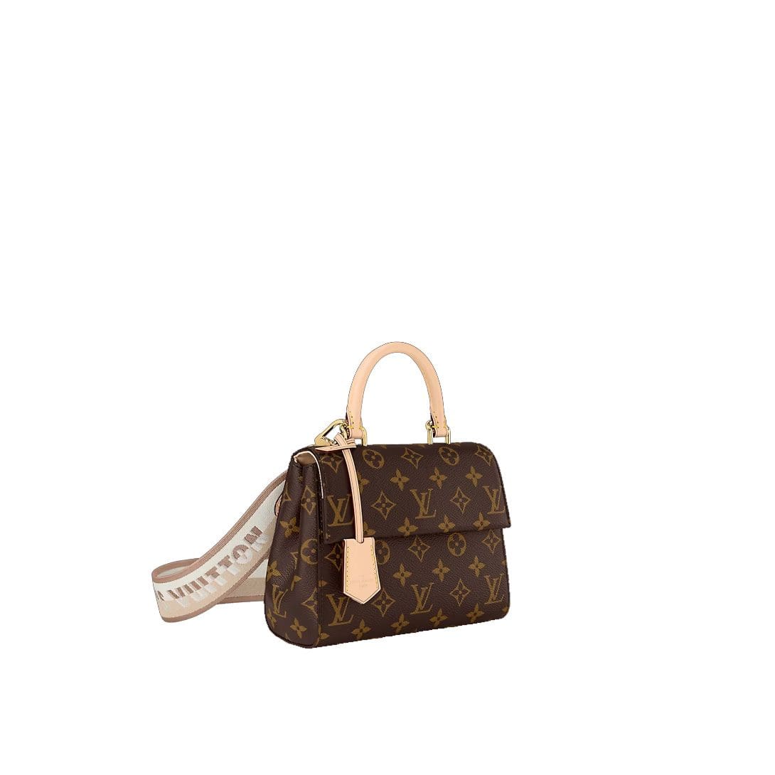 Louis Vuitton Cluny Mini M46055