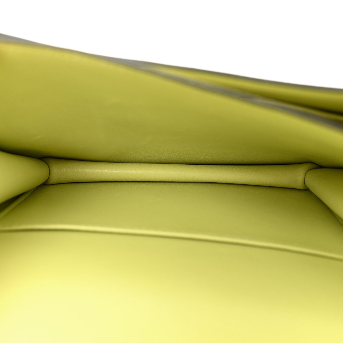 Chevre Mysore Constance 18 Jaune Bourgeon