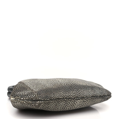 Stingray Degrade Frame Clutch Silver