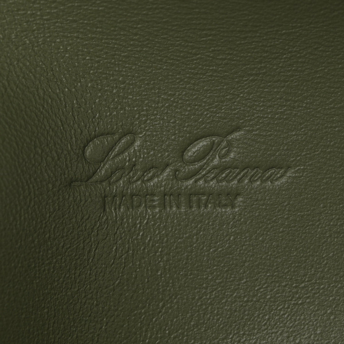 Grained Calfskin L19 Extra Pocket Pouch Sage Brush Leaves