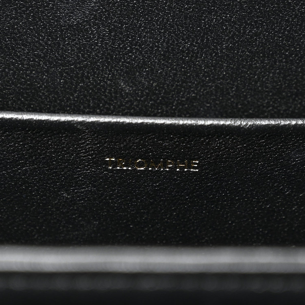 Shiny Calfskin Medium Triomphe Black