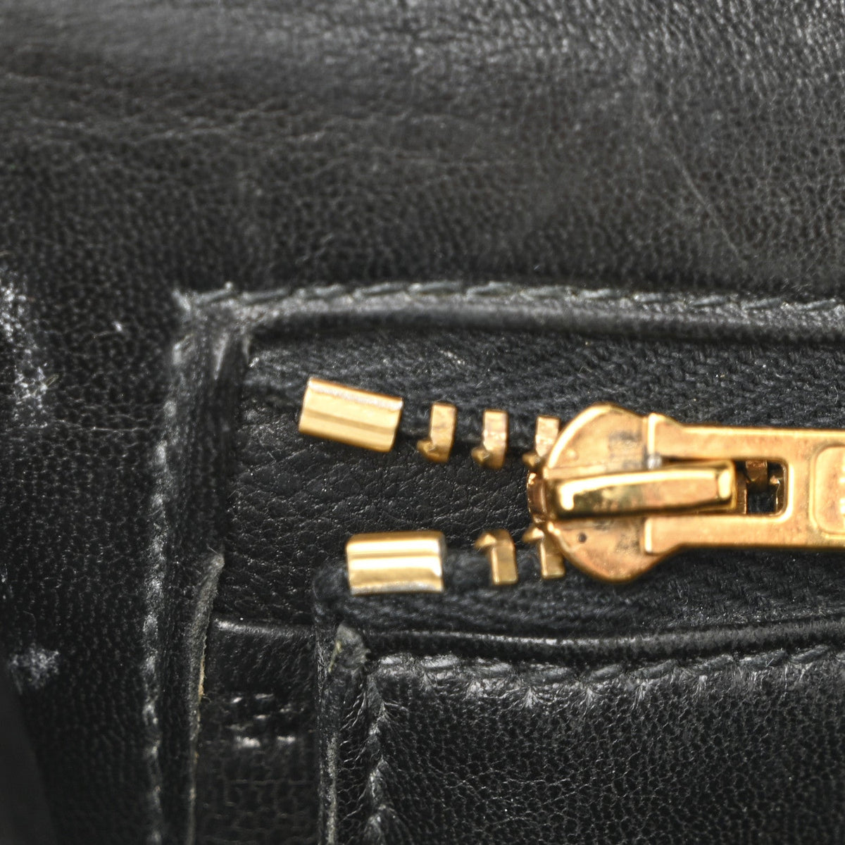 Shiny Caiman Crocodile Constance 23 Black