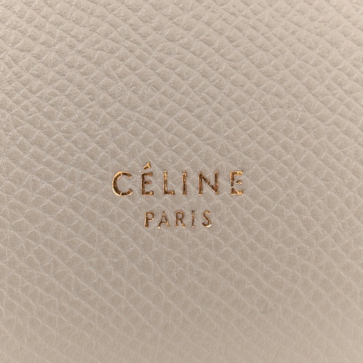 Grained Calfskin Micro Belt Bag Light Taupe