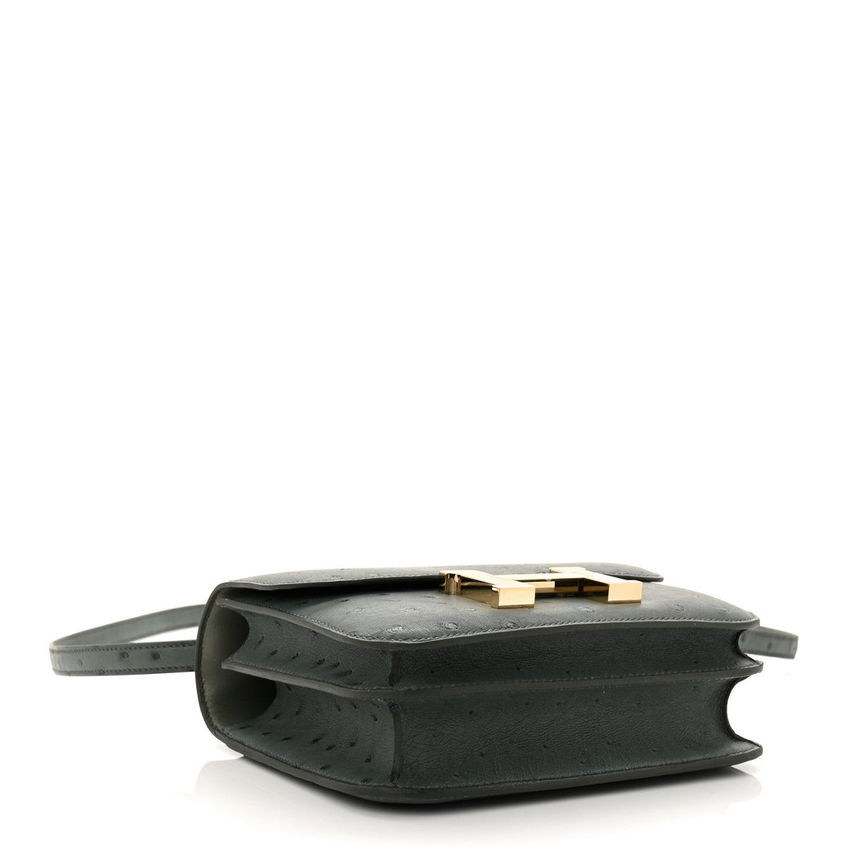 Ostrich Constance 18 Vert Amande