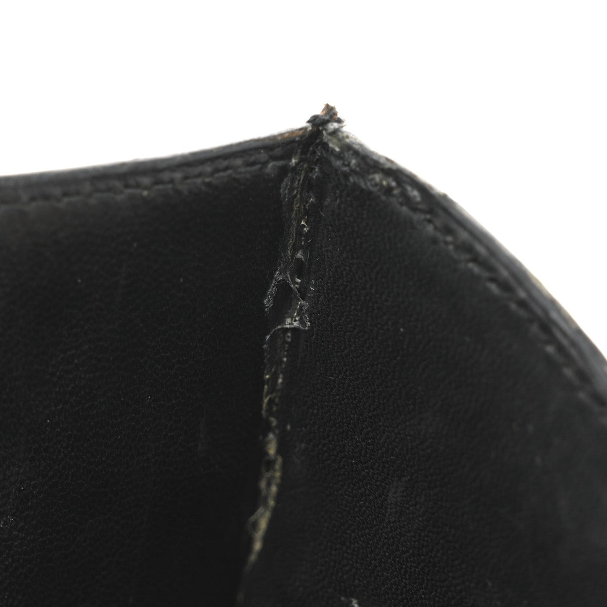 Shiny Caiman Crocodile Constance 23 Black