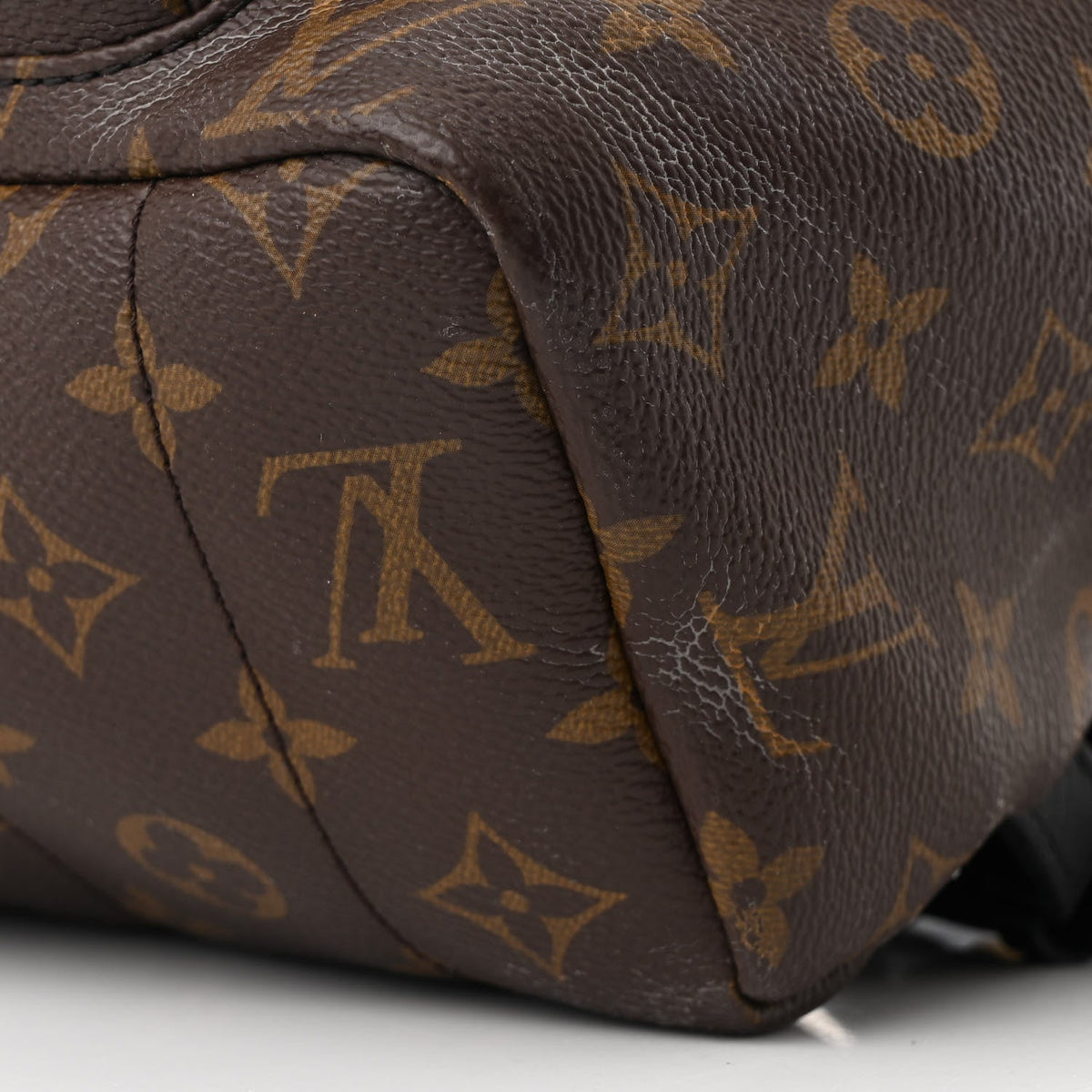 Monogram Palm Springs Backpack MM