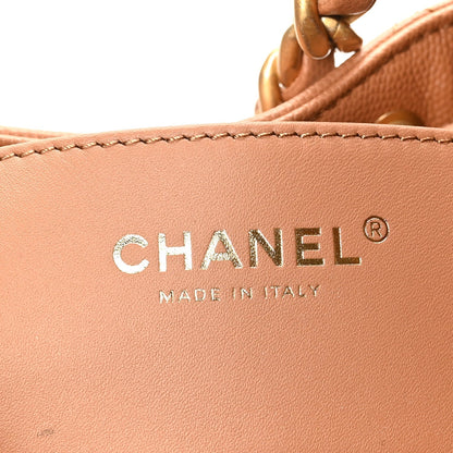 Caviar Quilted Small Chanel 25 Handbag Brown