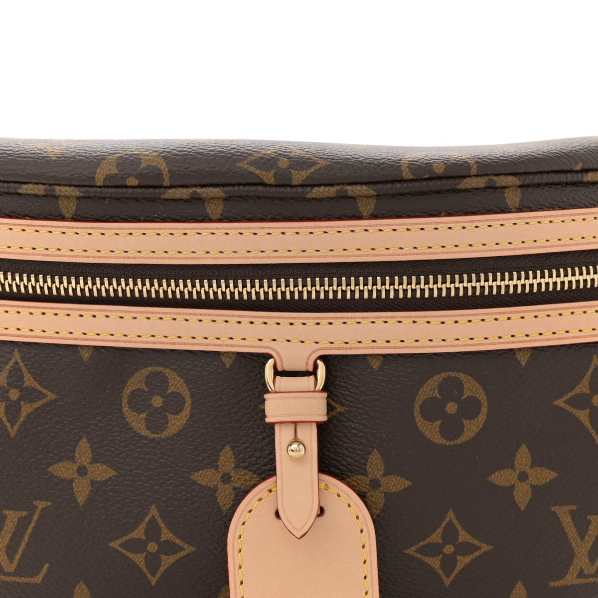 Monogram High Rise Bumbag
