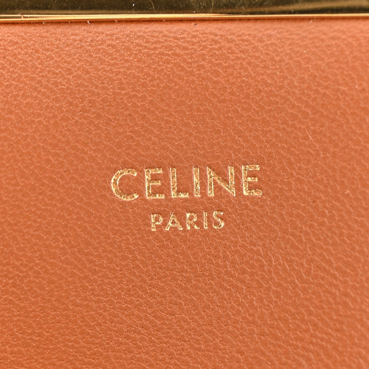 Calfskin Triomphe Canvas Teen Triomphe Bag Tan