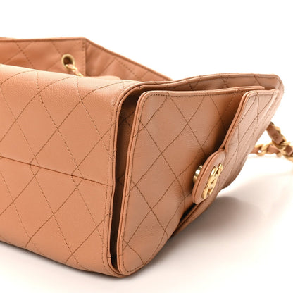 Caviar Quilted Small Chanel 25 Handbag Brown