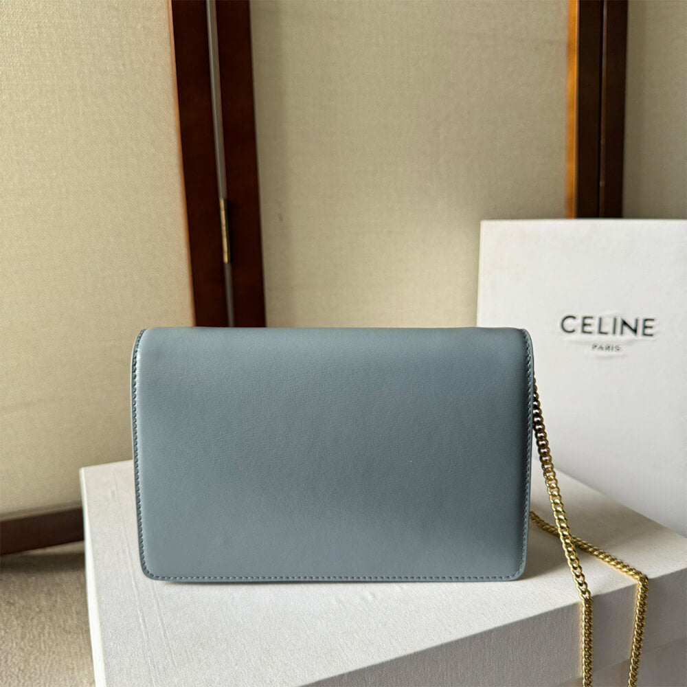 WALLET ON CHAIN MARGO in Shiny calfskin