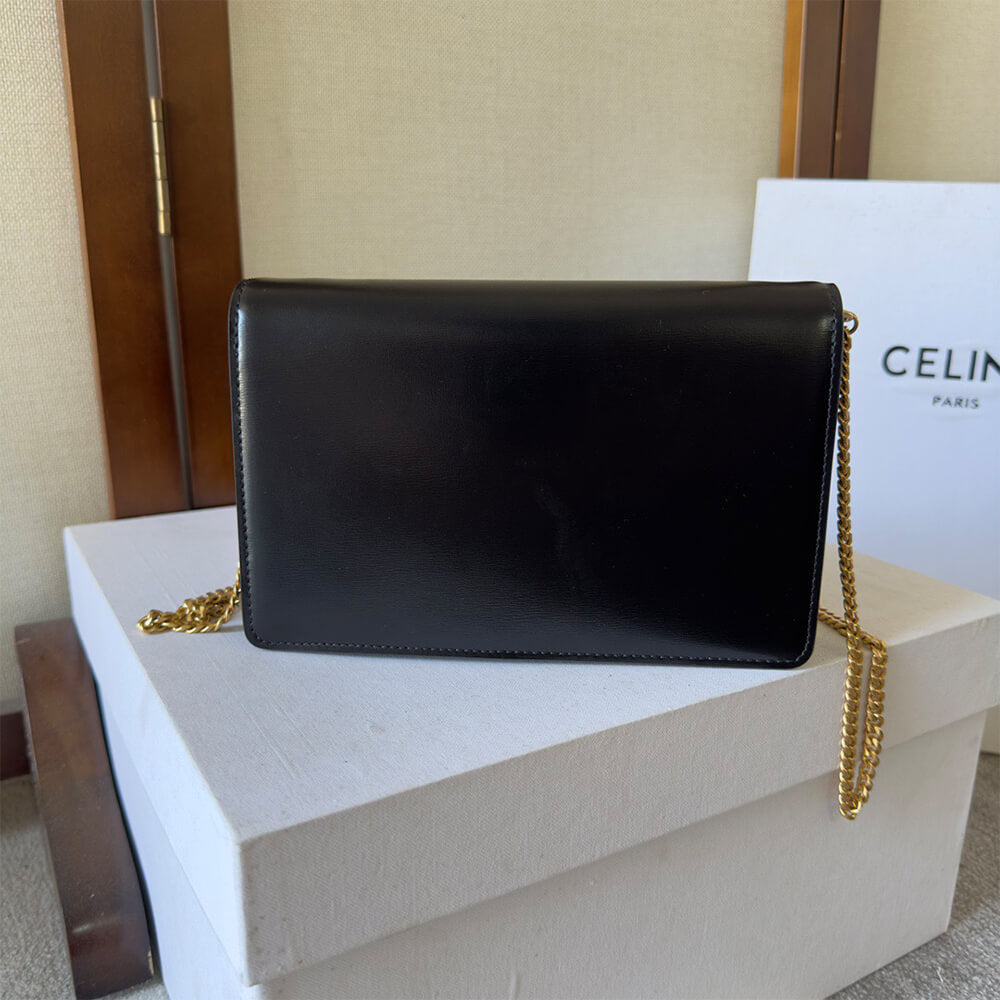 WALLET ON CHAIN MARGO in Shiny calfskin