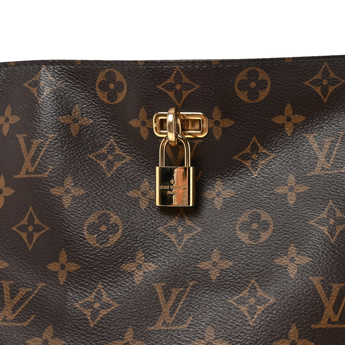 Monogram Python Ostrich Gaia Bordeaux