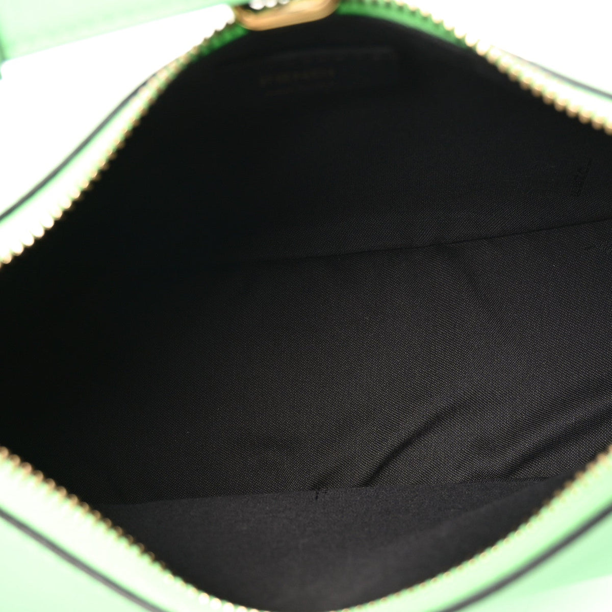 Vitello Grace Matte Small Fendigraphy Hobo Bag Edamame