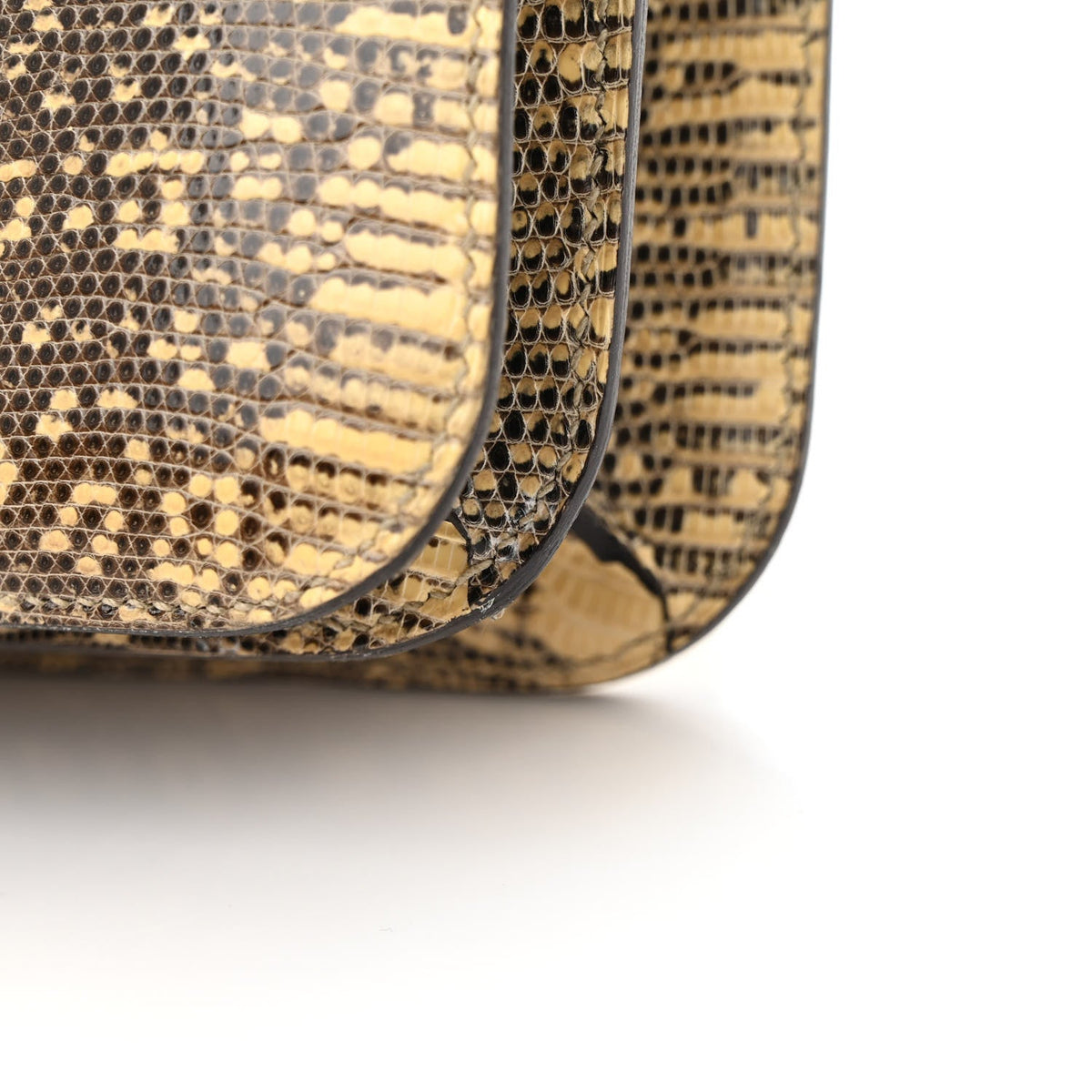 Lizard Constance 18 Ombre