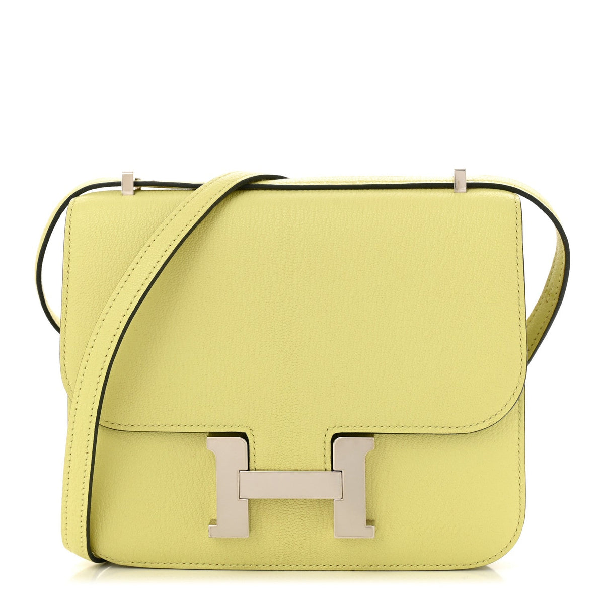 Chevre Mysore Constance 18 Jaune Bourgeon