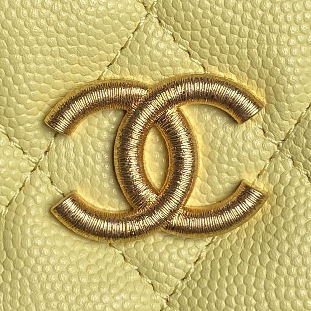 CHANEL Classic Hobo with Chain
