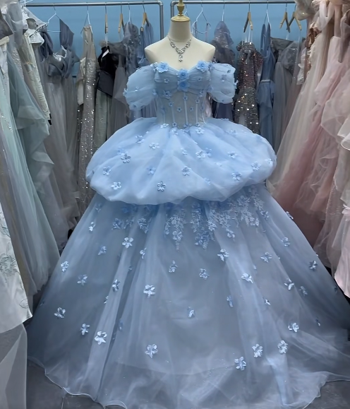 Charming Ball Gown Light Blue Off Shoulder Floral Evening Gala Gown Prom Dresses Quinceanera Dress      D5034