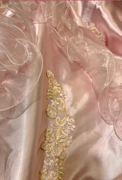 Charming Prom Dress A Line Light Pink V-neck Gala Dress Evening Dress 18th Graduation Gown      D5339