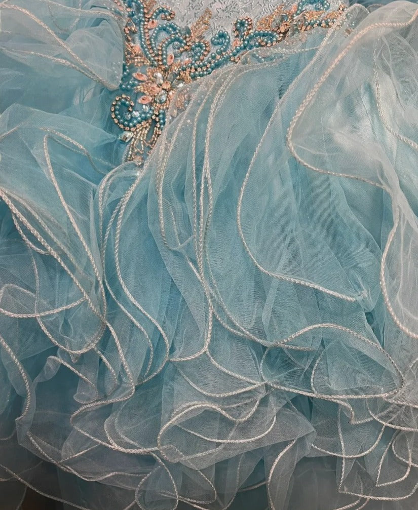 Stunning Prom Dress Sweetheart Ruffle Tulle Gala Dress Evening Dress 18th Birthday Gown      D5360