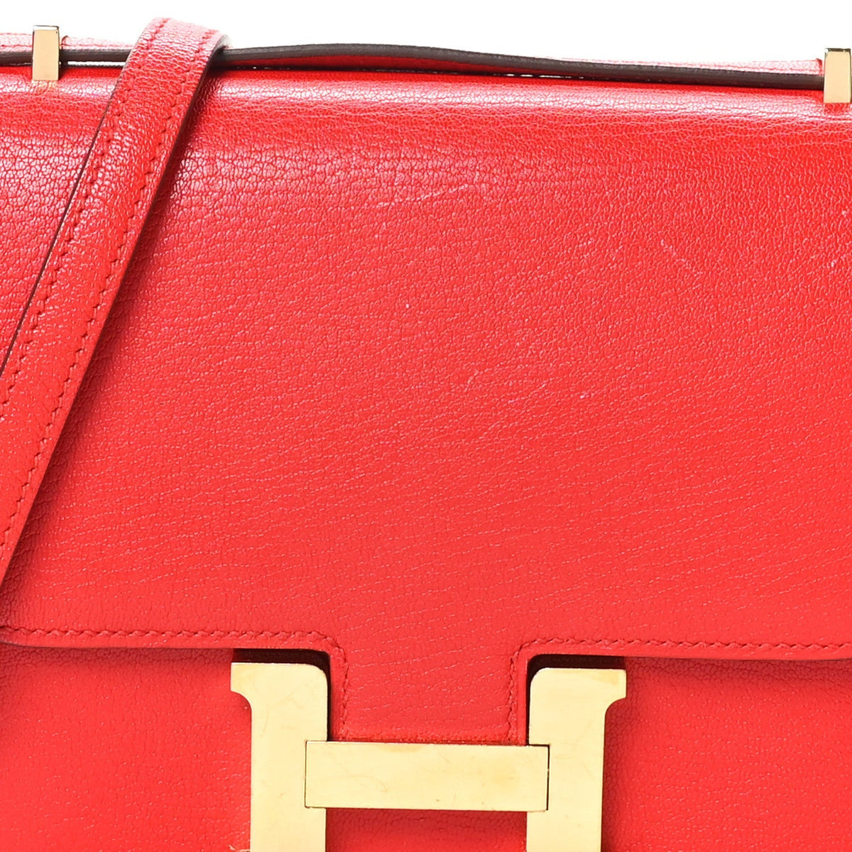 Chevre Mysore Constance 18 Rouge De Coeur