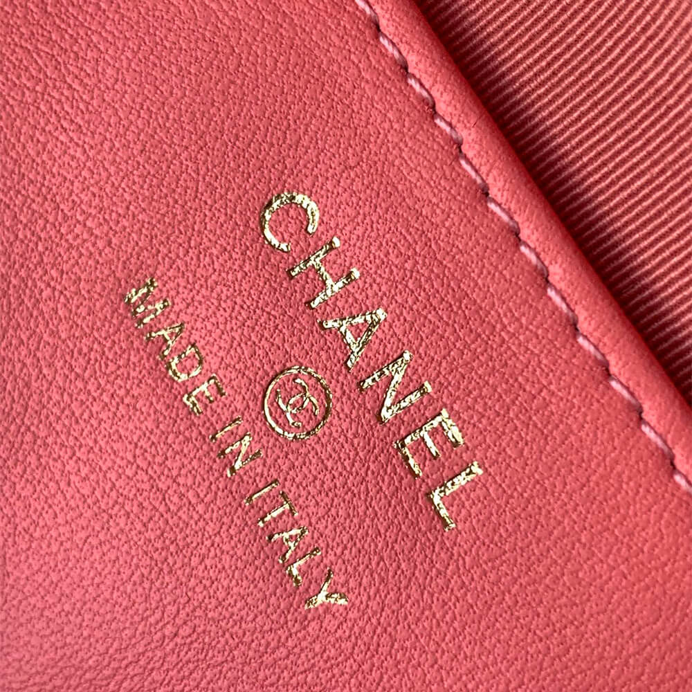 CHANEL Classic Chain Hobo