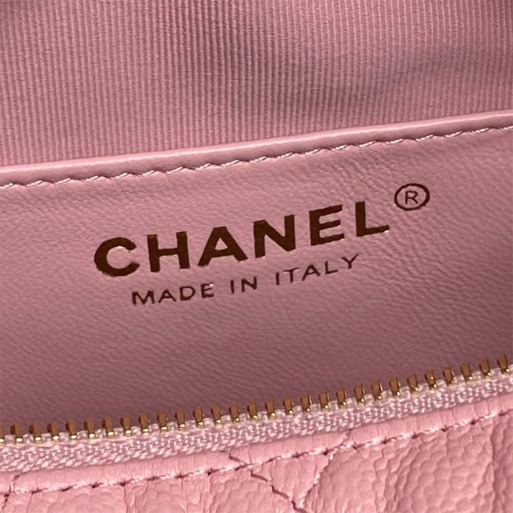 CHANEL Classic Hobo with Chain