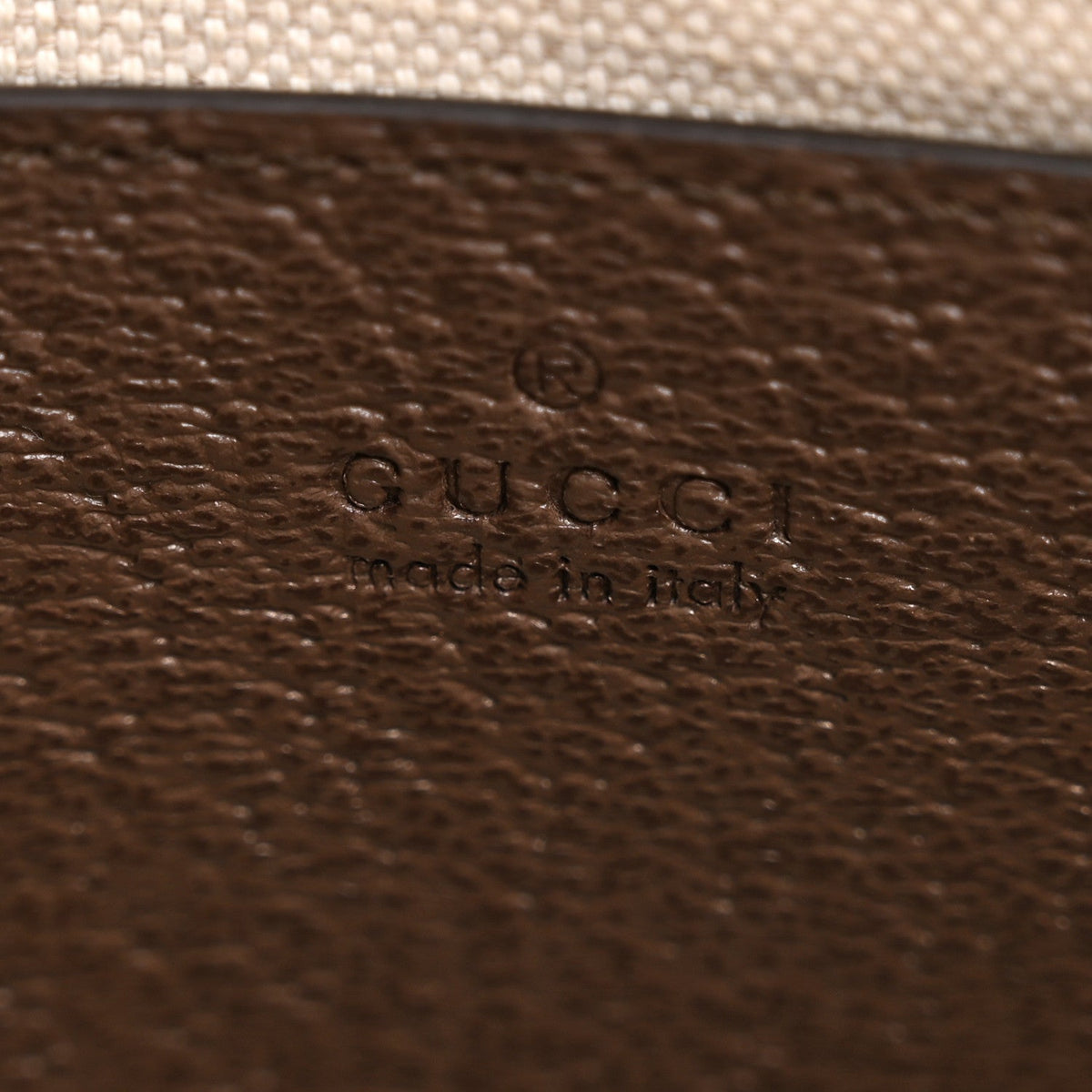 GG Supreme Monogram Textured Dollar Calfskin Web Small Ophidia GG Handbag Beige Ebony New Acero