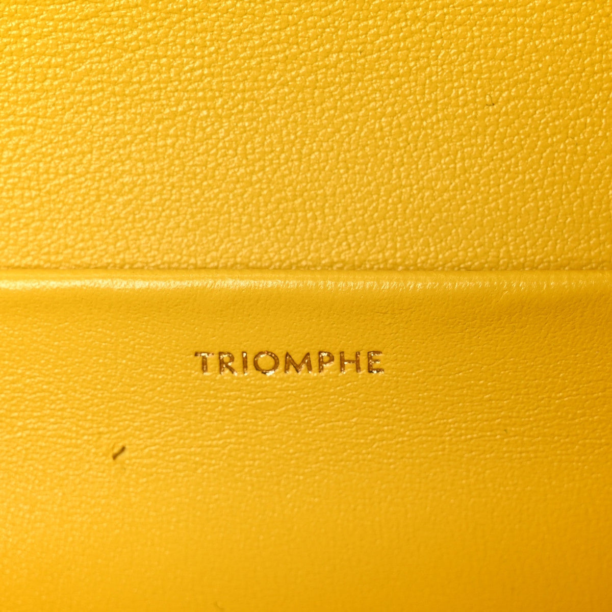 Fluffy Shearling Triomphe Claude Chain Shoulder Bag Yellow
