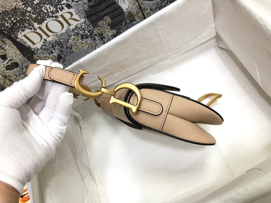 Dior Saddle Small Nude Color 21x18x5 cm