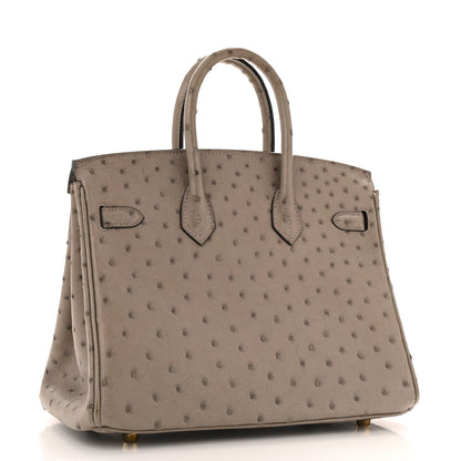 Ostrich Birkin 25 Gris Tourterelle