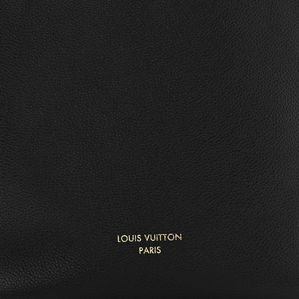 Grained Calfskin Low Key Hobo PM Black