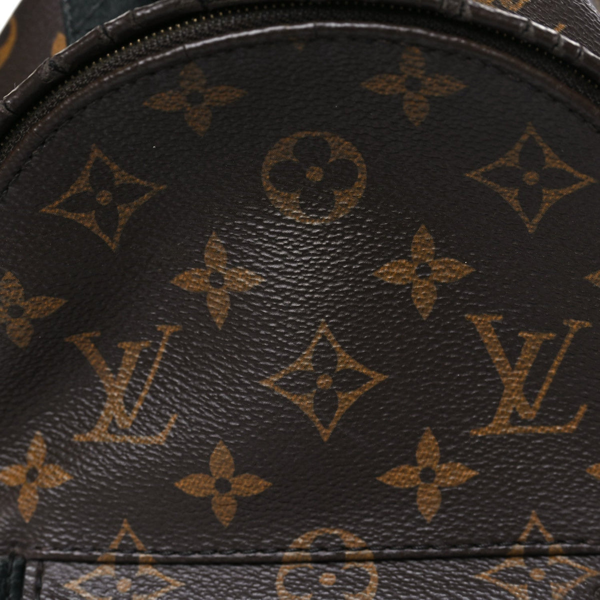 Monogram Palm Springs Backpack Mini