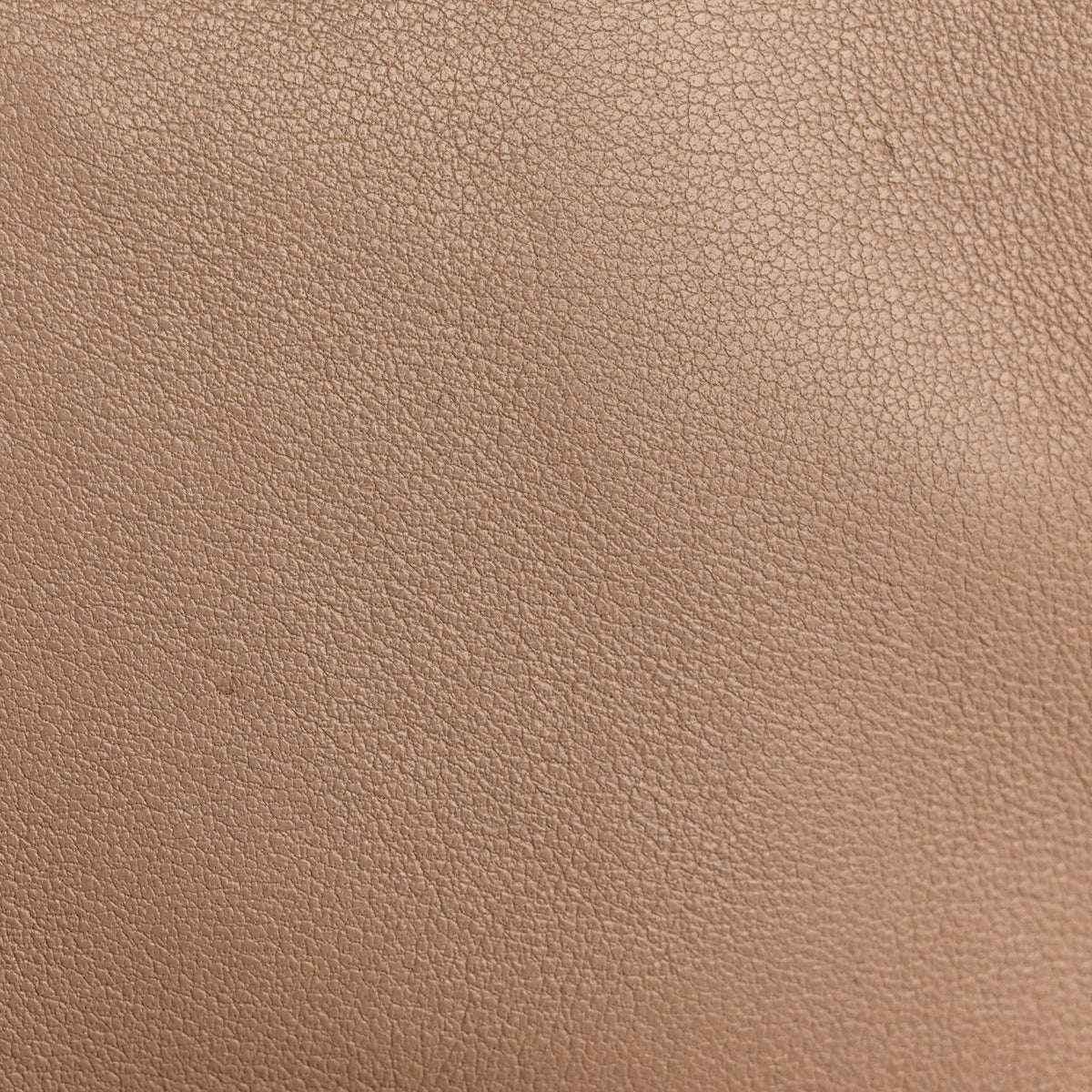 Lambskin Quilted Medium Loulou Puffer Monogram Chain Satchel Dark Beige