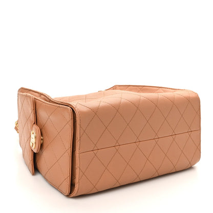 Caviar Quilted Small Chanel 25 Handbag Brown