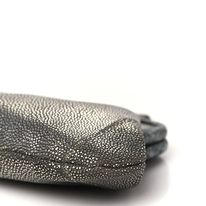 Stingray Degrade Frame Clutch Silver