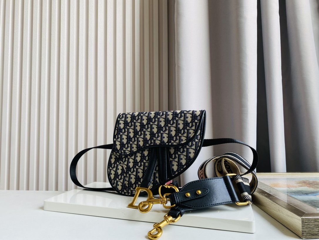 Dior Saddle Belt Bag Oblique