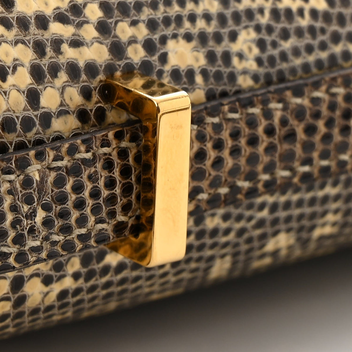 Lizard Constance 18 Ombre