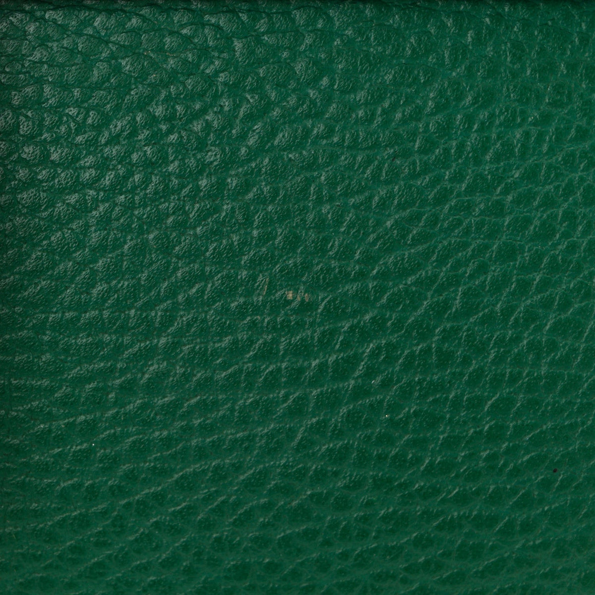 Pebbled Calfskin Small Dionysus Shoulder Bag Emerald