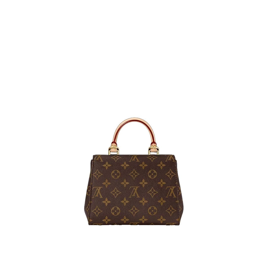 Louis Vuitton Cluny Mini M46055