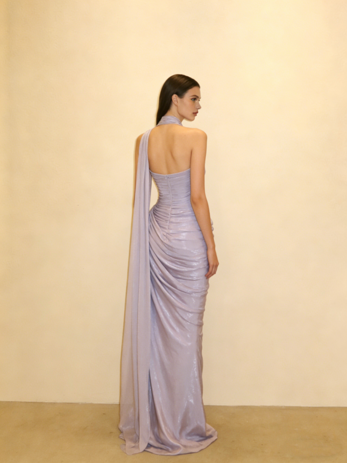 Elegant Prom Dress V-neck Pleated Mermaid Evening Dress Gala Dress        D3060