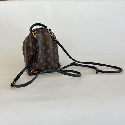 Louis Vuitton Palm Springs Mini Backbag