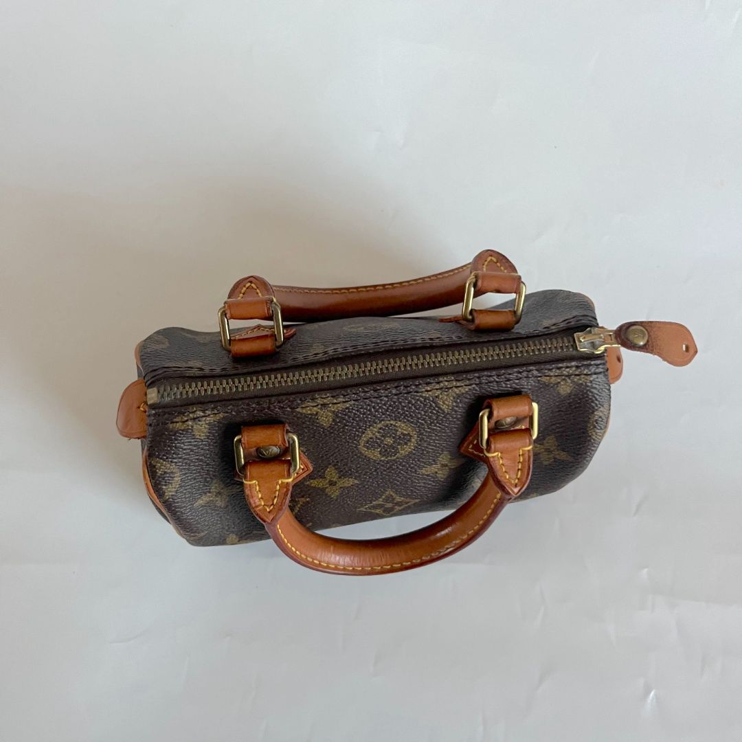 Louis Vuitton Mini Monogram Speedy Bag