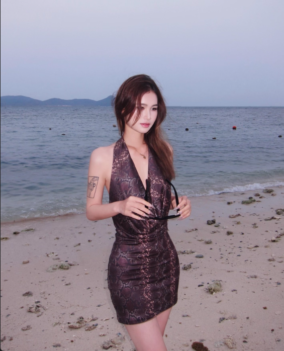 Vintage Halter V-neck Backless Print Sheath Stretch Dress Summer Dress Party Dress Women Dating Dress  D1834