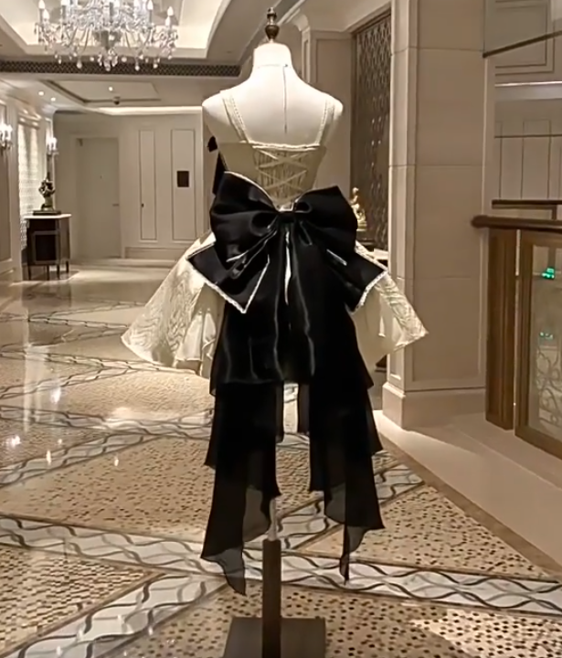 Elegant Short Prom Dress Spaghetti Straps Bowknot Cocktail Dress Homecoming Dress Princess Dress   D2932